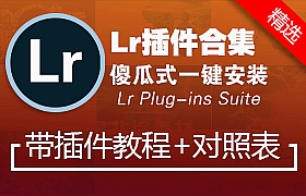 Lr预设插件lightroom日系小清新影视后期调色LUTS上万款预设一键安装包v21.11