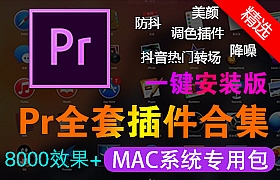 Pr插件合集Mac系统一键安装抖音转场合集防抖降噪光效字幕文字预设汉化特效调色包2022版