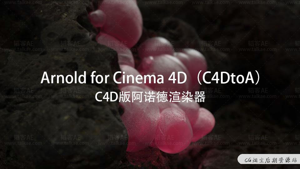 C4D阿诺德渲染器 Arnold 3.1.1 for Cinema 4D R20-R23