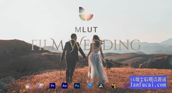 25种欧美婚礼电影风格LUTS调色预设 mLUT Film Wedding