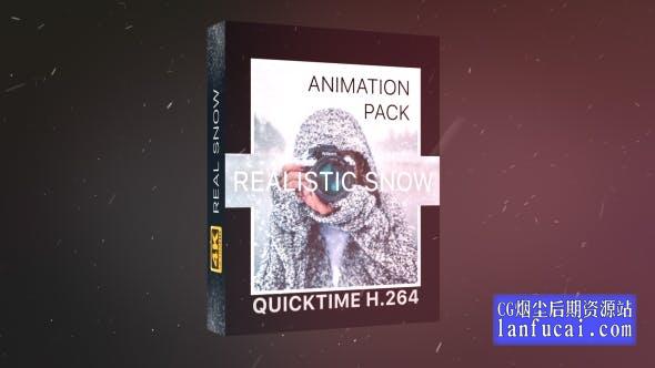 4K视频素材-21个冬日下雪雪花粒子飘散动画 Realistic Snow Effects Pack