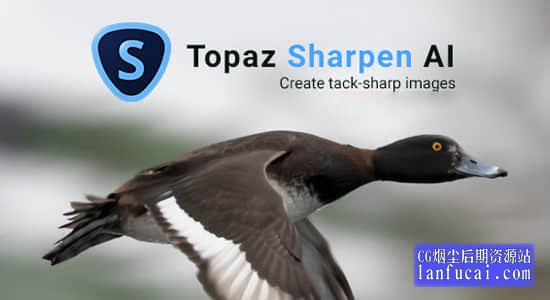 图片锐化清晰处理软件 Topaz Sharpen AI 4.0.2 Win