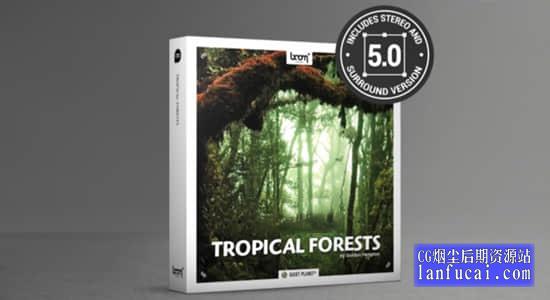 153组热带雨林虫鸣鸟叫大自然森林环绕音无损音效 Tropical Forests