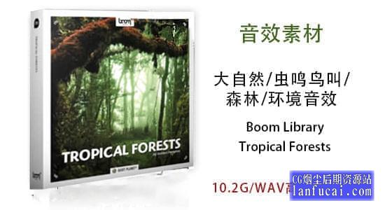 音效：大自然虫鸣鸟叫森林环境音效 BL – Tropical Forests