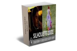 影视后期ROTO跟踪抠像合成软件 Silhouette 2021.0.0 Win + AE/PR/VEGAS/OFX/达芬奇插件