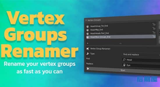 Blender插件-快速给定点组批量重命名工具 Vertex Groups Renamer – Vgr