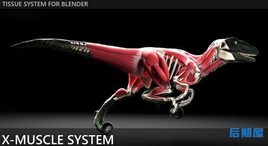 Blender插件-肌肉系统模拟工具 X-Muscle System 2.47