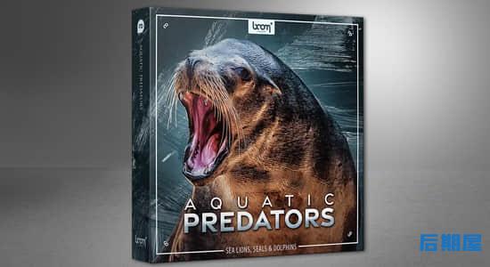 1085种海狮海豹海豚海象动物无损音效 Aquatic Predator