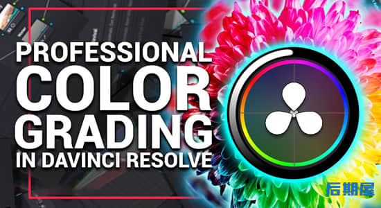 达芬奇专业视频调色高级学习教程 Pro Color Grading in DaVinci Resolve