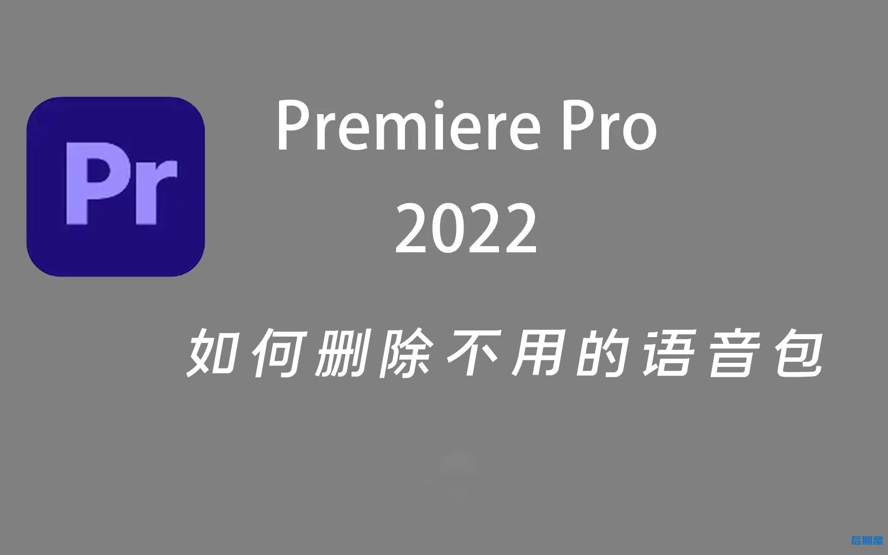 pr2022如何删除不用的语音包