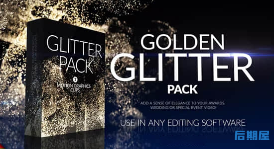 视频素材 14组尊贵闪耀金色华丽粉末粒子动画Golden Glitter Pack