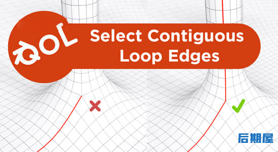 Blender插件 循环边缘选择Qol Tools: Select Contiguous Loop Edges V1.0.4