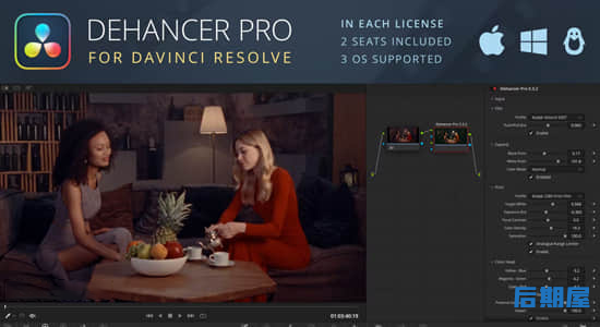 达芬奇插件-复古电影胶片灼烧光效噪点刮痕视觉特效 Dehancer Pro OFX 6.2.0 CE