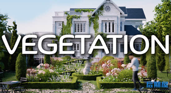 Blender插件 花草树木植物预设库Vegetation Pro V5.1+预设库 Assets Vol.1&2