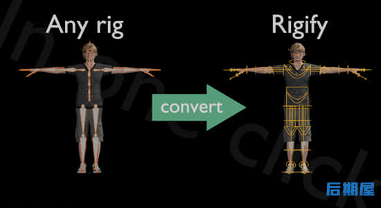 Blender插件 一键导入骨骼绑定数据映射Any Rig to Rigify V0.0.3