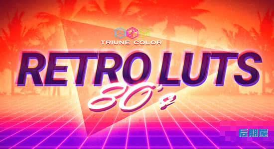 80年代复古怀旧电影LUTs调色预设 Retro 80s LUTs