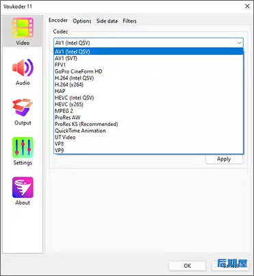 中文版AE/PR/达芬奇/VEGAS多格式视频编码渲染加速输出插件Voukoder v13.4.1 Win